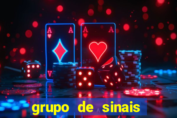 grupo de sinais fortune rabbit